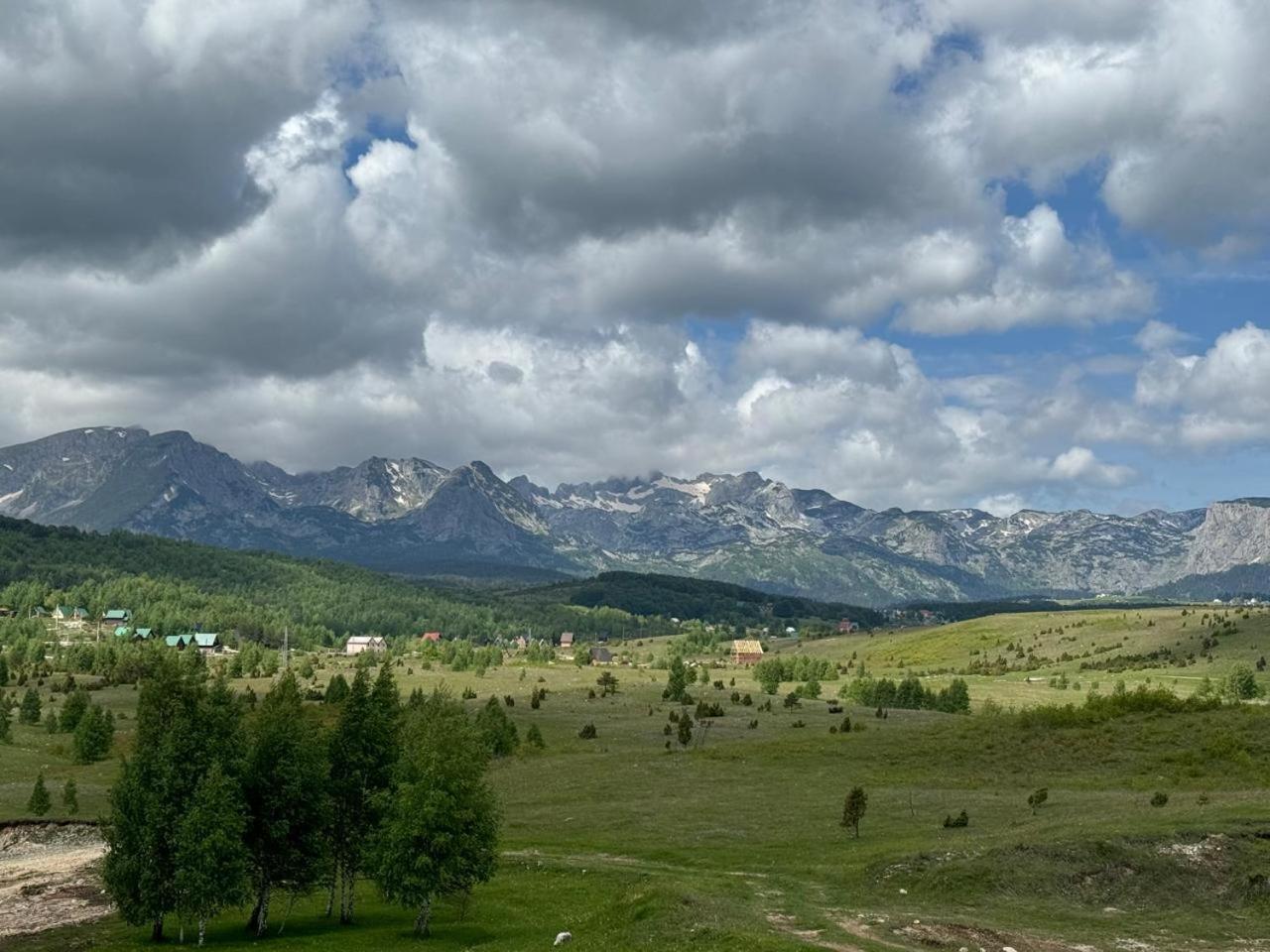 Villa Durmitorska Zora Žabljak Esterno foto