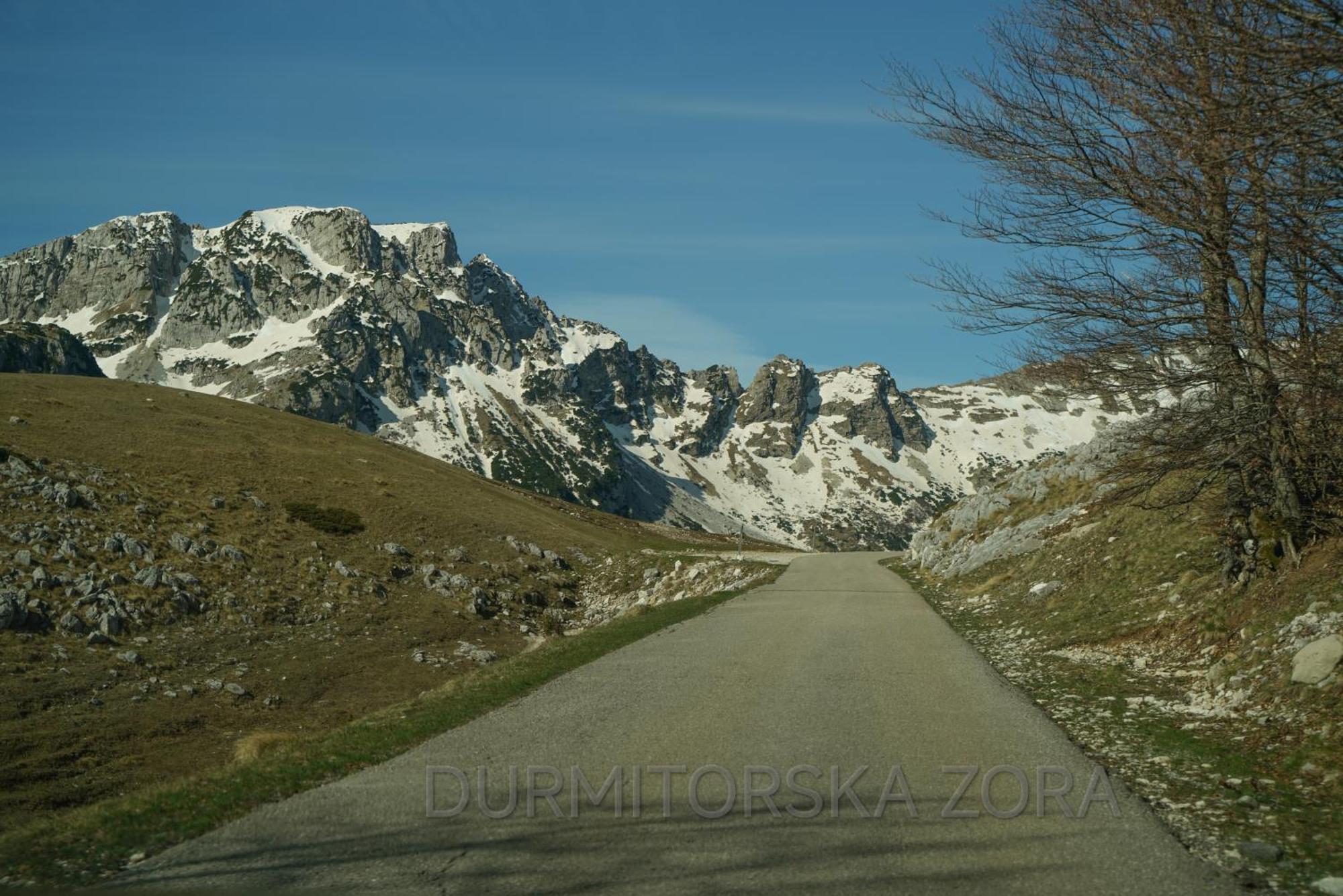 Villa Durmitorska Zora Žabljak Esterno foto